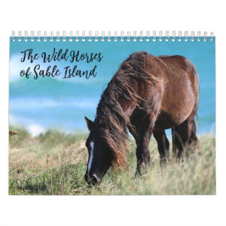 Wild Horses of Sable Island Calendar