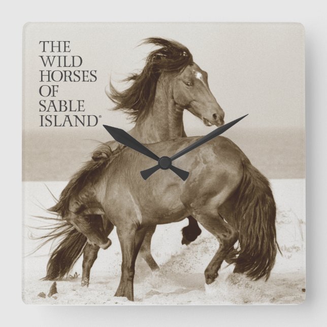 Wild Horses of Sable Island Clock (Front)