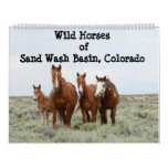 Wild Horses of Sand Wash Basin Calendar