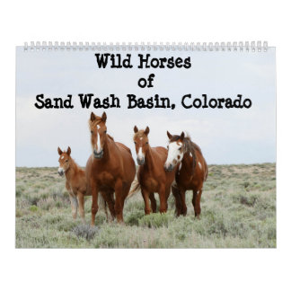 Wild Horses of Sand Wash Basin Calendar