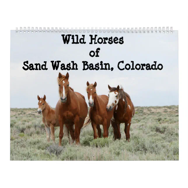 Wild Horses of Sand Wash Basin Calendar Zazzle