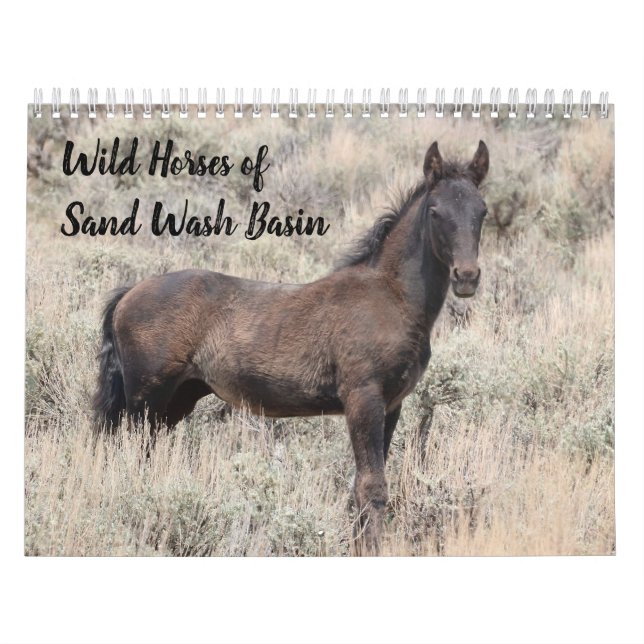 Wild Horses of Sand Wash Basin Calendar (Cover)