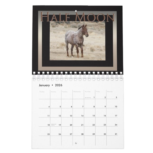Wild Horses of Sand Wash Basin,  Colorado Calendar (Jan 2026)