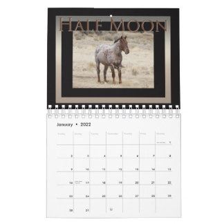 Wild Horses of Sand Wash Basin, Colorado Calendar