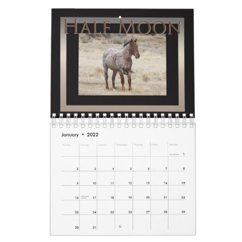 Wild Horses of Sand Wash Basin  Colorado Calendar