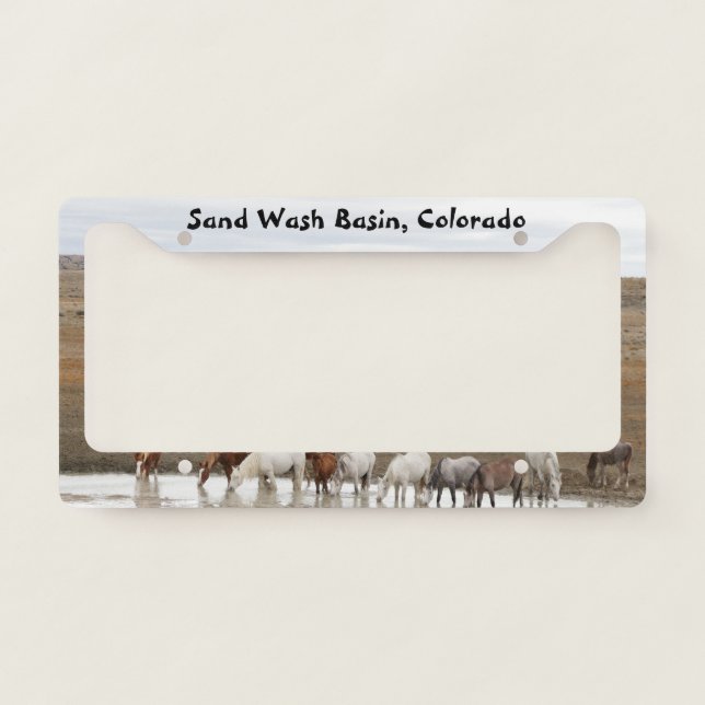 Wild Horses of Sand Wash Basin License Plate Frame (Front)