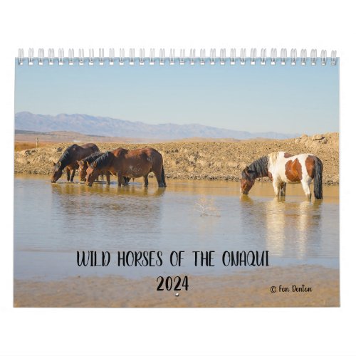 Wild Horses of the Onaqui _ 2024 Calendar