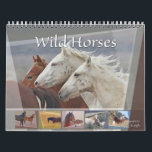 Wild Horses of the West Calendar<br><div class="desc">Wild Horses of the American West are symbols of beauty, freedom and the pioneer spirit of the West. Yet our American wild horses and burros are fast disappearing as they lose critical habitat to private profit interests on our public lands. Wild Horse Education is devoted to protecting our wild ones...</div>