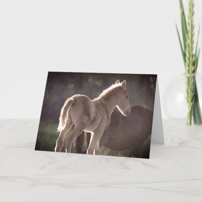 WILD HORSES OF UTAH FOAL Folded Thank You Card (Front)