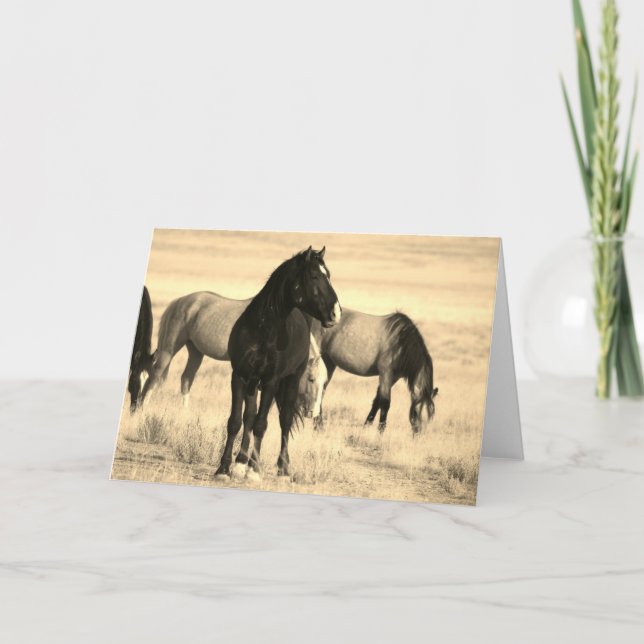 WILD HORSES OF UTAH Folded Greeting Card (Front)