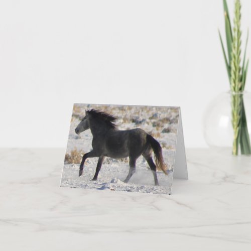 WILD HORSES OF UTAH GRAY MUSTANG IN SNOW Card