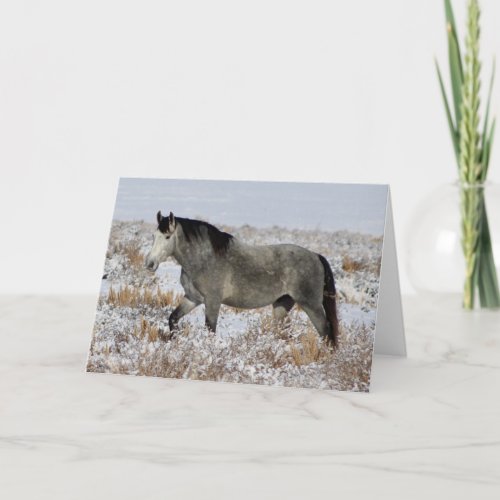 WILD HORSES OF UTAH IN SNOW Greeting Card