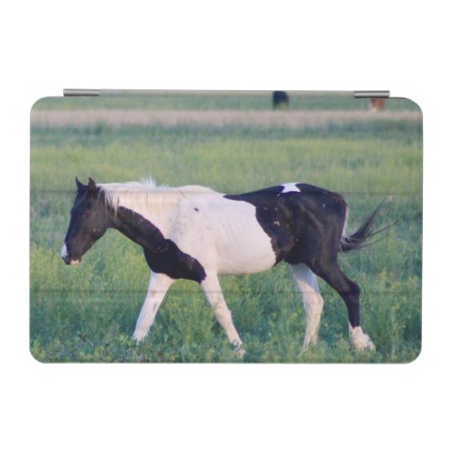 WILD HORSES OF UTAH IPAD CASE PINTOS