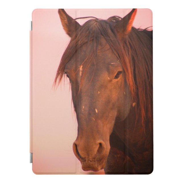 WILD HORSES OF UTAH iPad PRO COVER (Front)