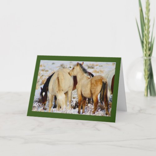 WILD HORSES OF UTAH NATIVITY CHRISTMAS Card