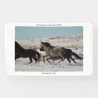WILD HORSES OF UTAH, ONAQUI HERD Banner W/ GROMMET