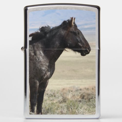 WILD HORSES OF UTAH ONAQUI HERD Zippo Lighter