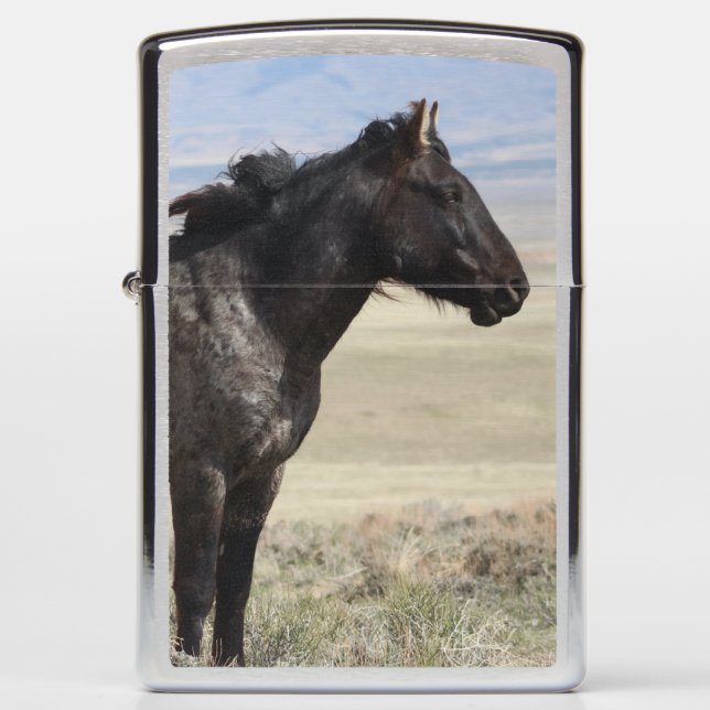 WILD HORSES OF UTAH ONAQUI HERD Zippo Lighter (Front)
