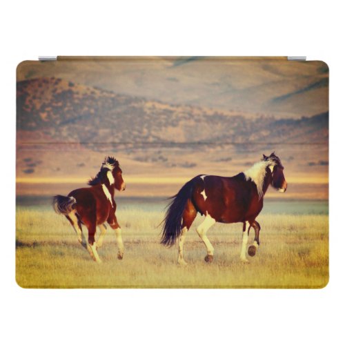 WILD HORSES OF UTAH ONAQUI PINTOS IPAD SMART CASE