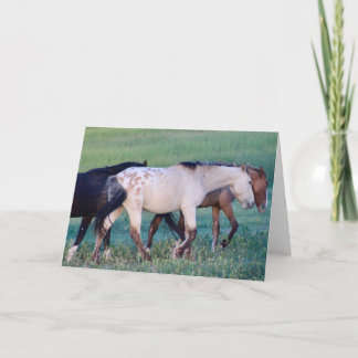 WILD HORSES OF UTAH OURAY NOTECARD