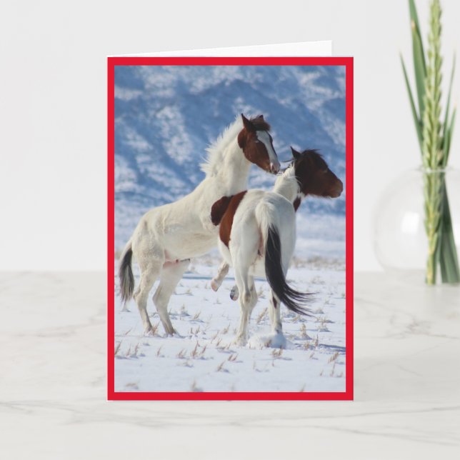 WILD HORSES OF UTAH PINTO GREETING CARD (Front)