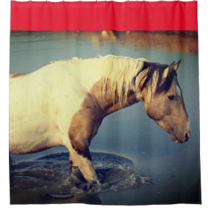WILD HORSES OF UTAH PINTO IN WATER Shower Curtain
