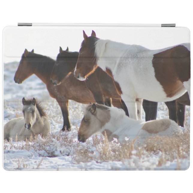 WILD HORSES OF UTAH PINTO IPAD Smart Cover (Horizontal)