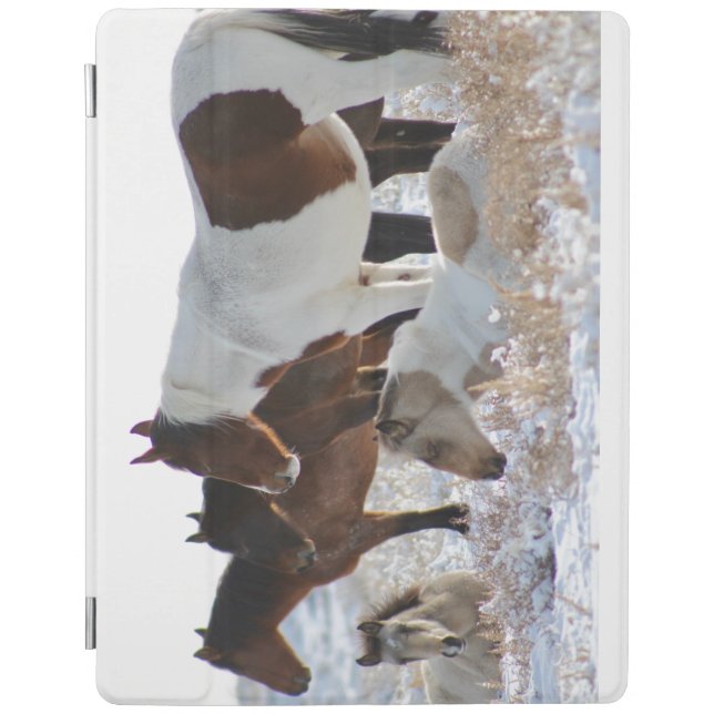 WILD HORSES OF UTAH PINTO IPAD Smart Cover (Front)