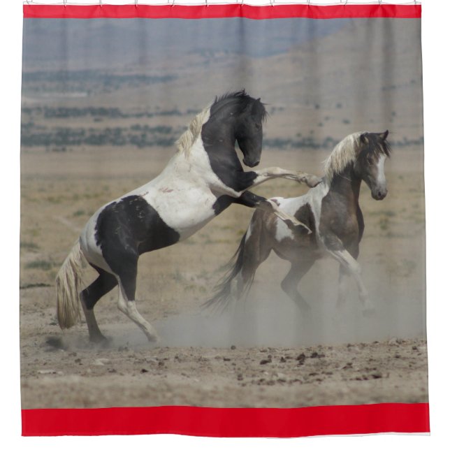 WILD HORSES OF UTAH PINTOS FIGHTING SHOWER CURTAIN (Front)
