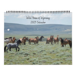 Wild Horses of Wyoming Calendar