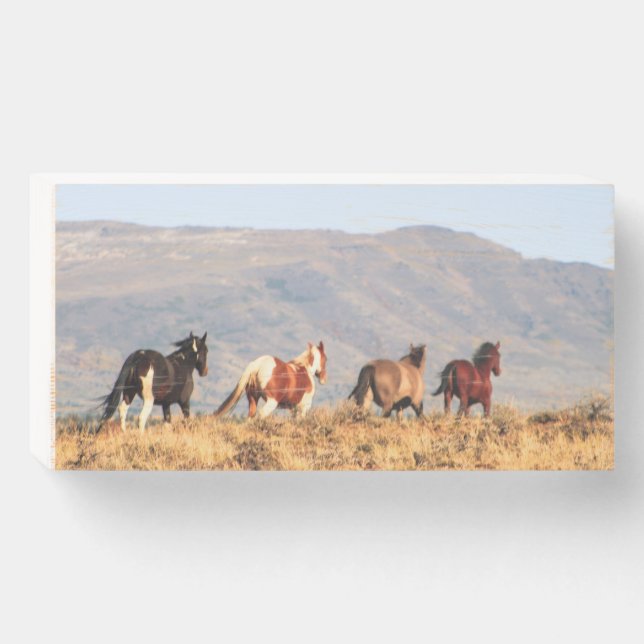 Wild horses on a ridge  wooden box sign (Front Horizontal)