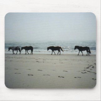 Wild horses on Assitique Island Mouse Pad