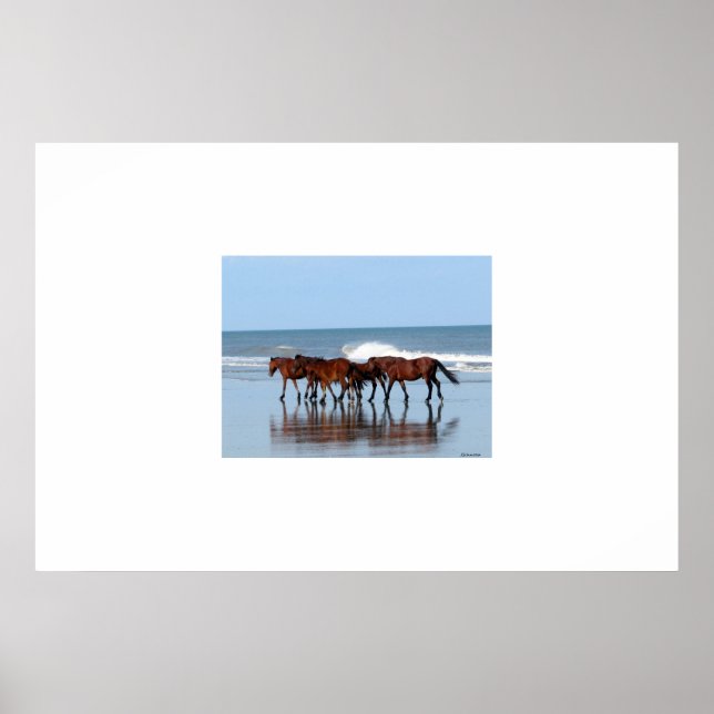 Wild Horses on the Beach Poster (Front)