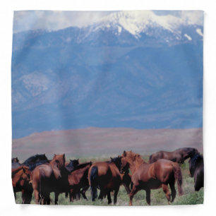 Wild Horses Out West Bandana