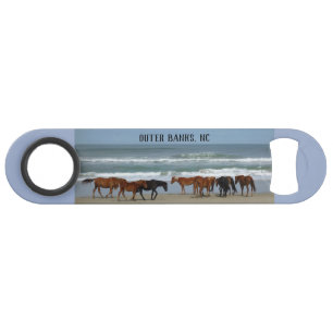 Wild Horses Outer Banks NC Bar Key
