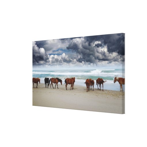 Wild Horses Outer Banks NC Canvas Print | Zazzle