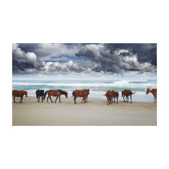 Wild Horses Outer Banks NC Canvas Print