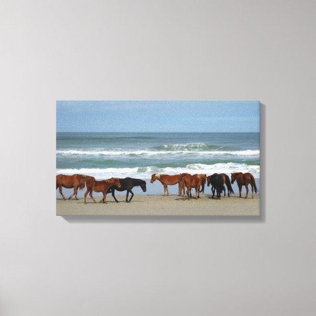 Wild Horses Outer Banks NC Canvas Print (Front)