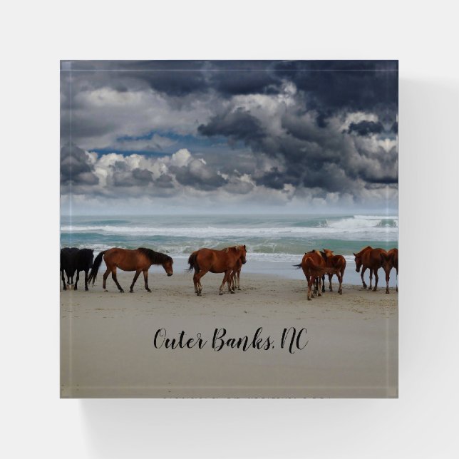 Wild Horses Outer Banks NC Paperweight (Front)