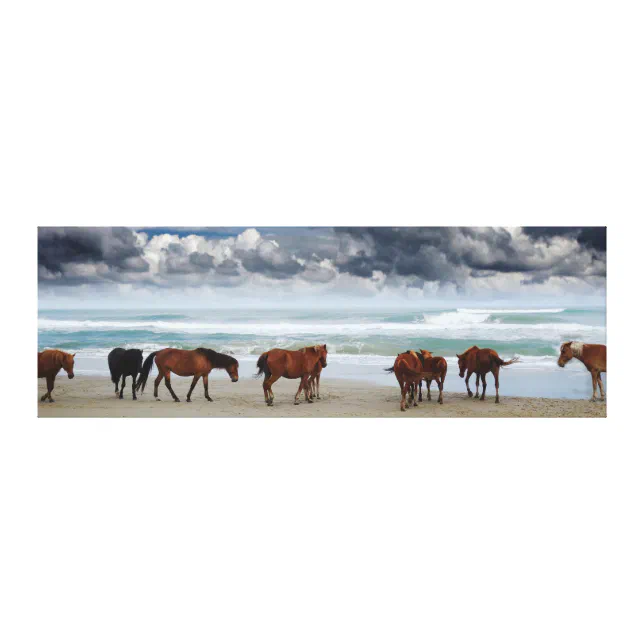 Wild Horses Outer Banks OBX Corolla NC Canvas Print Zazzle