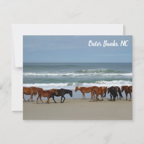 Wild Horses Outer Banks OBX Corolla NC Note Card