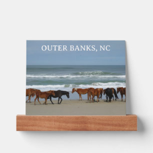 Wild Horses Outer Banks OBX Corolla NC Picture Ledge