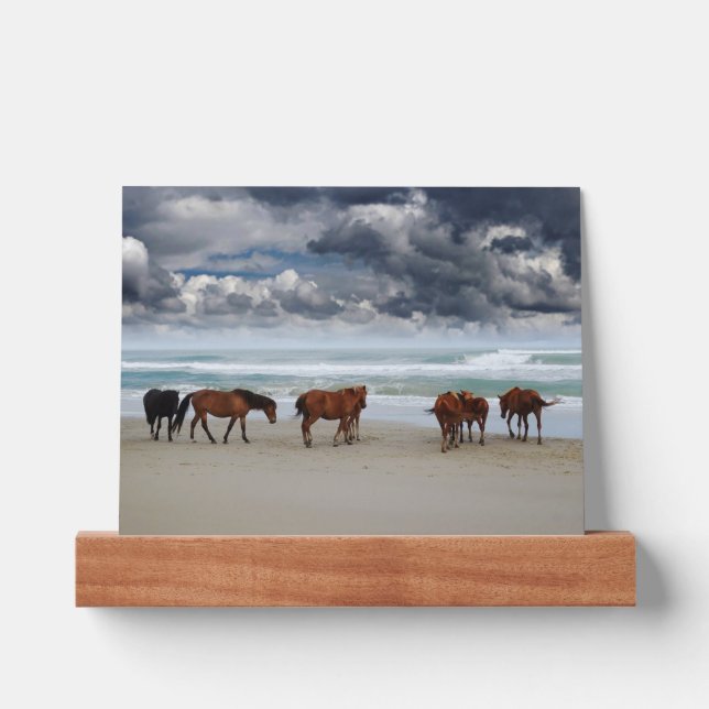 Wild Horses Outer Banks OBX Corolla NC Picture Ledge (Front)