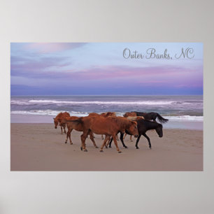 Wild Horses Outer Banks OBX Corolla NC Poster