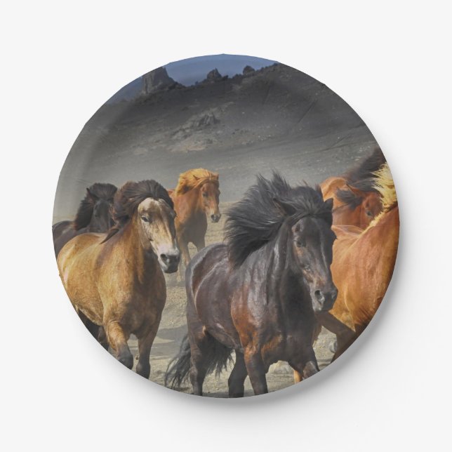 Wild Horses Paper Plates (Front)