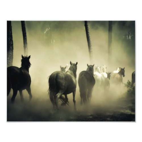 Wild Horses Photo Print