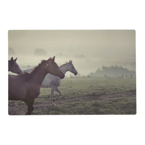 Wild horses placemat