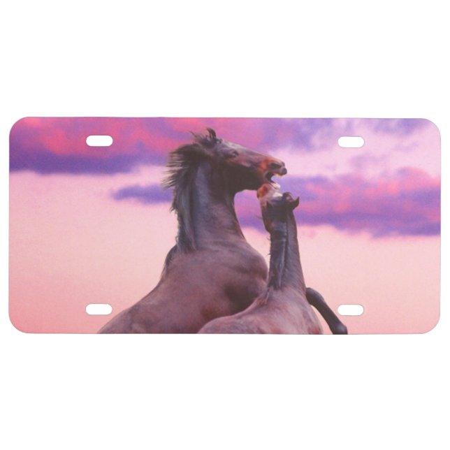 Wild horses playing sunrise License Plate (Front)