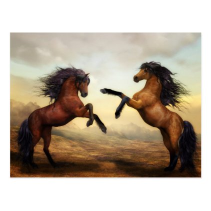 Wild Horses Postcard