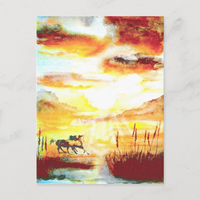 Wild Horses. Postcard (Front)